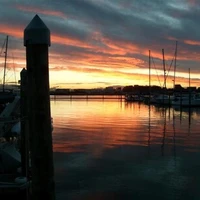 Tauranga Marine Charters
