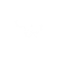 Velvet Antler Productions