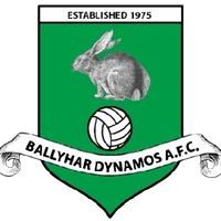 Ballyhar Dynamos fc