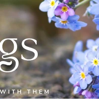 Pilates Studio Kildare