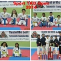 Markham Taekwondo Academy