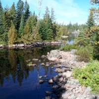 Grey Owl Camps