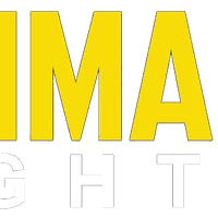 Smmartfighter