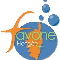Favone plongée
