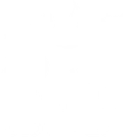 Polo Wicklow