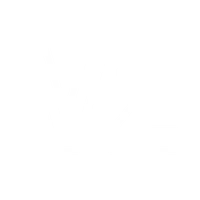 V2 FIT