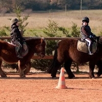 AU PETIT MANEGE