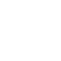 BodyLogic
