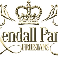 Kendall Park Friesians