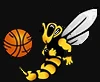Abeille Rueil Basket