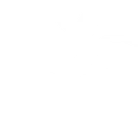 Pure Rhythm Dance Company