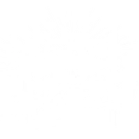 Bush Adventures UK