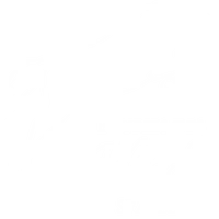 CURIES DES PLIADES INC