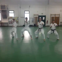Karate Goju Ryu Sisteron