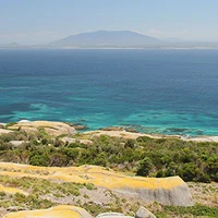 Island Charters Narooma & Montague Island Charters