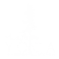 Village Yoga and Wellness Boutique