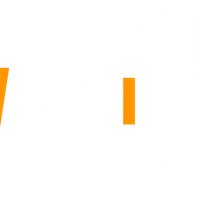 BodyVision