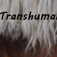 Les crinières transhumantes | Balade à cheval Mont Lozère
