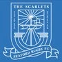 Seaford Rugby Club