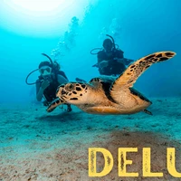 Sunderland Scuba Centre