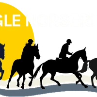 Dingle Horse Riding