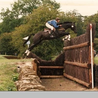 Ingestre Stables