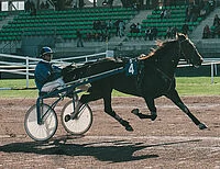Hippodrome de la Baie