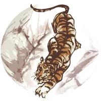 Bayswater JiuJitsu, Judo Academy