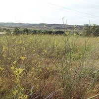 Terrain Galou