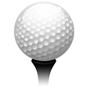 ASSOCIATION DES GOLFS DE LA COUPE DE L'AMITIE