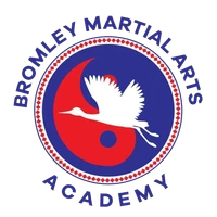 Bromley Martial Arts Academy (Black Belt School)