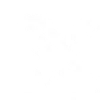 Aquila Taekwondo