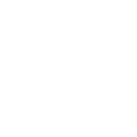 Ballerina Dance Academy
