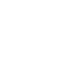 The Lame Duck