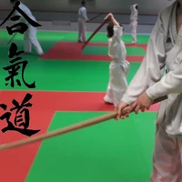 Academy D'aikido De Bois Guillaume