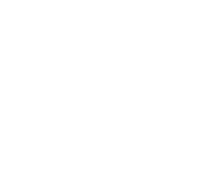 FSM Bray