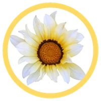 Gentle Beginnings Yoga