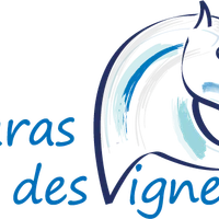 HARAS DES VIGNES