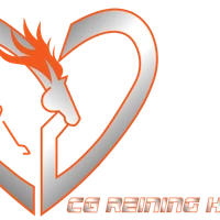 Ranch Lauzerat / Cg Reining Horses