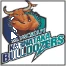 Karnataka Bulldozers