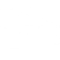 Franklin Fishing Charters