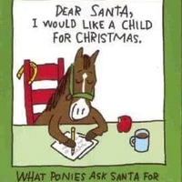 Just Horses