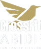 CrossFit Abide