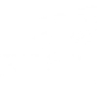 Predator Charters