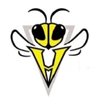Holbrook Hornets Football Club