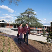 Damien Oval