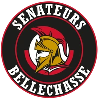 Hockey mineur Bellechasse inc