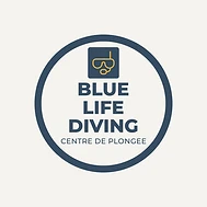 BLUE LIFE DIVING