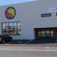 Institut Franco-Chinois De Taiji Quan Chen Xuejiao