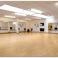 THE DANCE STATION